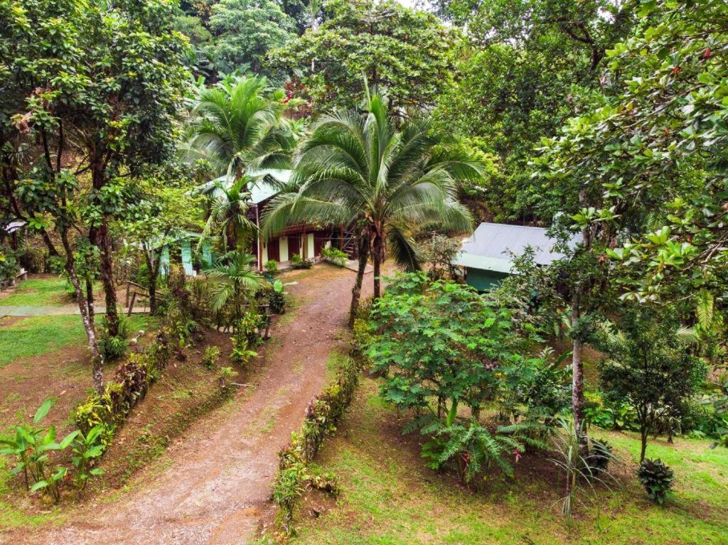 Sukia Hostel Дрейк Екстер'єр фото